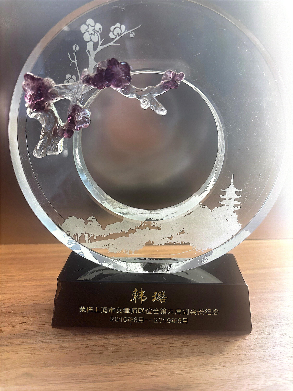 韩璐-上海市女律师联谊会第九届副会长-2015.06至2019.06.jpg 韩璐-上海市女律师联谊会第九届副会长-2015.06至2019.06.jpg
