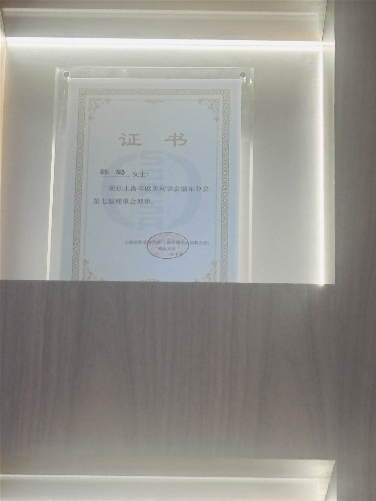 韩璐-上海市欧美同学会浦东分会第七届理事会理事-2022.10.jpg 韩璐-上海市欧美同学会浦东分会第七届理事会理事-2022.10.jpg